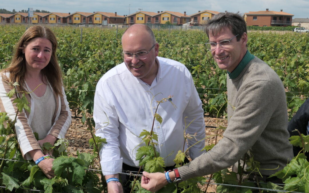 Capellán: Los intereses del campo riojano serán una prioridad de las políticas del futuro Gobierno de La Rioja del PP