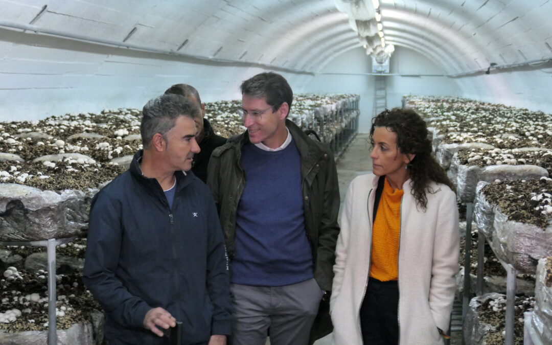 Capellán: Aceleraremos la inserción laboral de todos los demandantes de empleo, con itinerarios personalizados